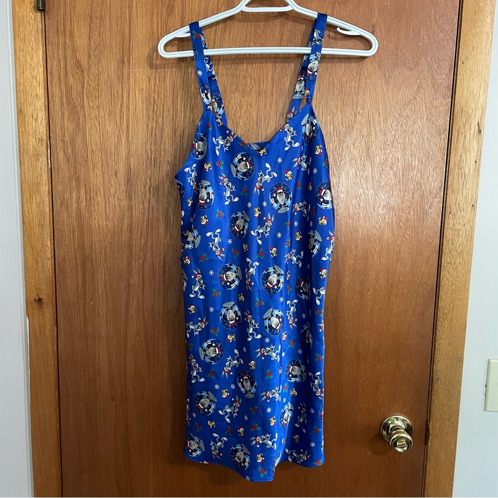 Classic looney tunes collection Blue‎ Christmas holiday nightgown size medium